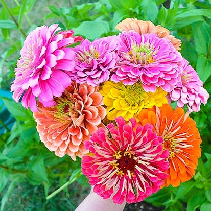 Flower - Small Seasonal Bouquet