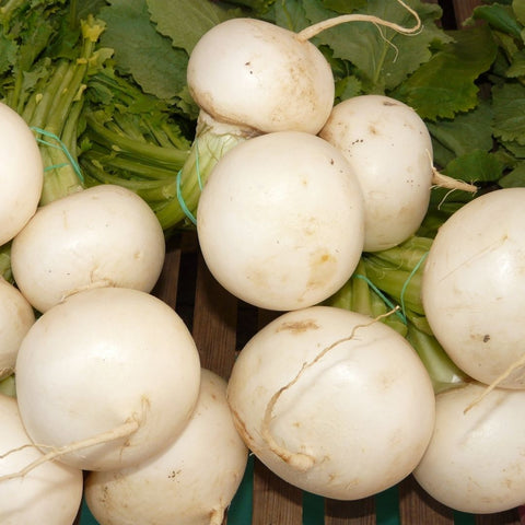 Turnips (5 - 6 in bunch)