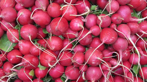 Radishes as a Substitute for Potatoes?
