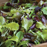 Lettuce - Salad Mix (bag)