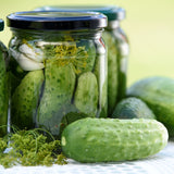 Cucumbers - Pickling (4 in pkg)